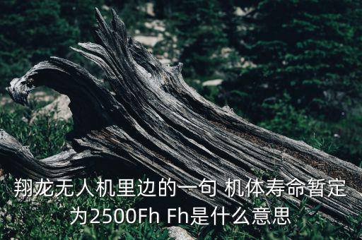 翔龍無人機，我國真的有翔龍無人機以及所謂的粽子機F60嗎