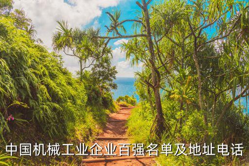 中國全自動(dòng)化機(jī)械有限公司,大哥大姐祈求告訴!