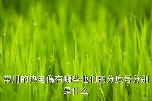 常用的熱電偶有哪些他們的分度號分別是什么