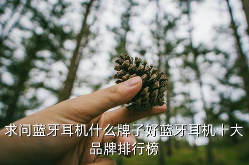 藍(lán)牙耳機(jī)排名，品牌排行來看看藍(lán)牙耳機(jī)什么牌子好