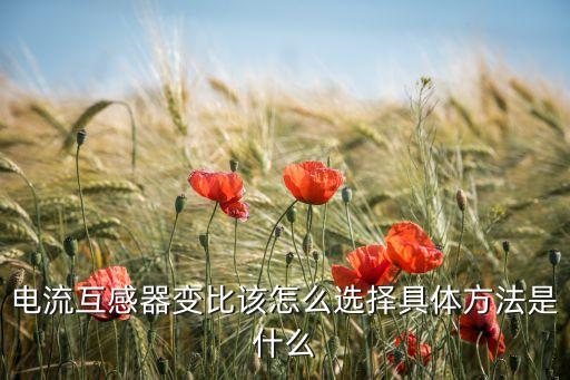 電流互感器變比該怎么選擇具體方法是什么
