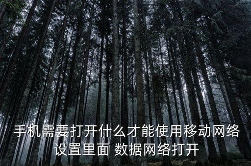 手機(jī)怎么設(shè)置移動(dòng)數(shù)據(jù),vivo手機(jī)怎么設(shè)置移動(dòng)數(shù)據(jù)的使用