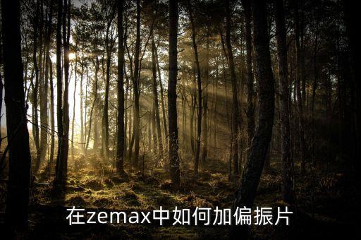 在zemax中如何加偏振片