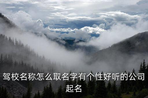 駕校名稱怎么取名字有個性好聽的公司起名