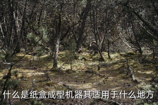 什么是紙盒成型機(jī)器其適用于什么地方