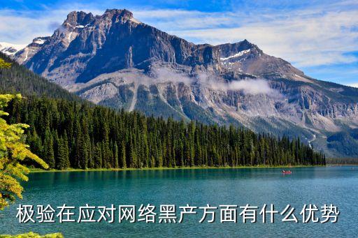 極驗在應(yīng)對網(wǎng)絡(luò)黑產(chǎn)方面有什么優(yōu)勢
