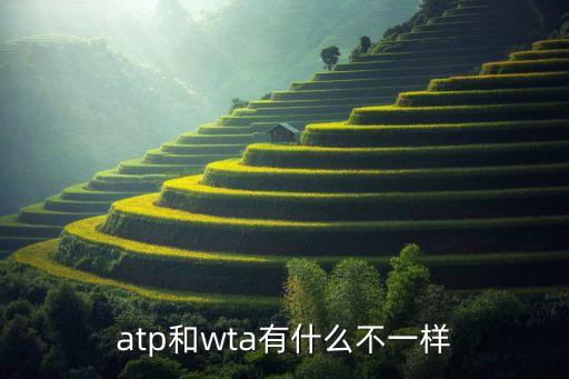 atp和wta有什么不一樣