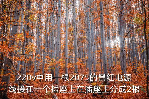 220v中用一根2075的黑紅電源線接在一個(gè)插座上在插座上分成2根