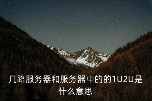 2u是什么意思，2U 文是什么意思啊