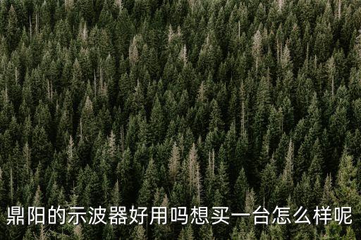 鼎陽(yáng)，國(guó)內(nèi)示波表有幾個(gè)品牌鼎陽(yáng)怎么樣