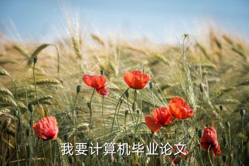 我要計算機畢業(yè)論文
