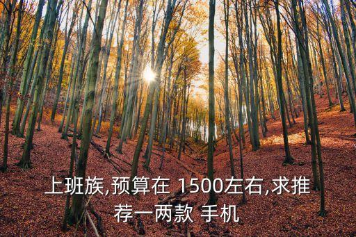 上班族,預(yù)算在 1500左右,求推薦一兩款 手機(jī)
