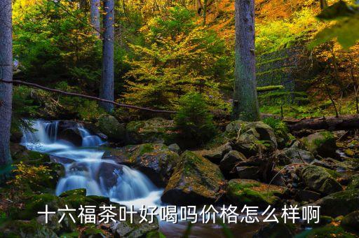 十六福茶葉好喝嗎價格怎么樣啊
