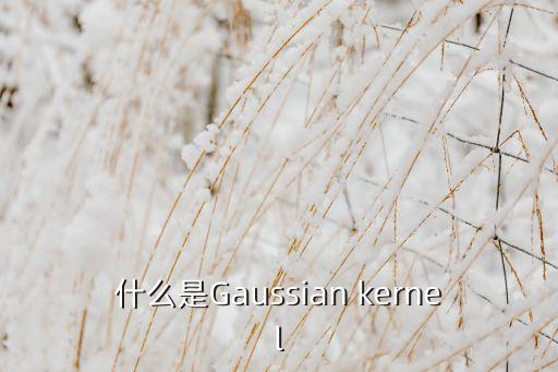 什么是Gaussian kernel