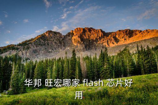 華邦 旺宏哪家 flash 芯片好用
