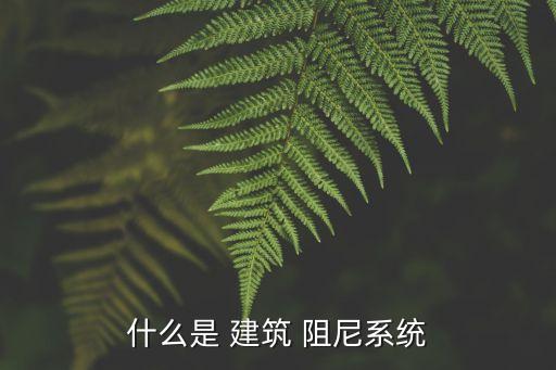 阻尼器，減震器和阻尼器