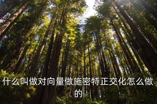 什么叫做對向量做施密特正交化怎么做的