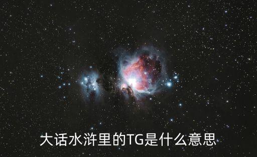 大話水滸里的TG是什么意思