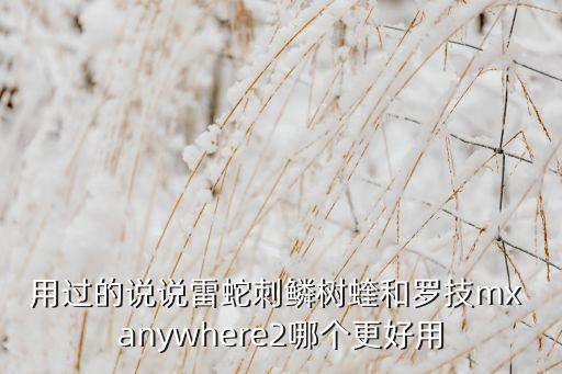 用過的說說雷蛇刺鱗樹蝰和羅技mx anywhere2哪個(gè)更好用