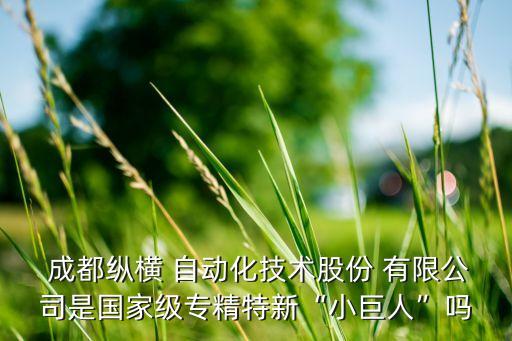  成都縱橫 自動(dòng)化技術(shù)股份 有限公司是國(guó)家級(jí)專精特新“小巨人”嗎