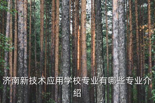 濟(jì)南新技術(shù)應(yīng)用學(xué)校專業(yè)有哪些專業(yè)介紹