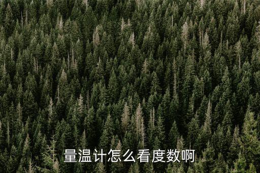 量溫計(jì)怎么看度數(shù)啊