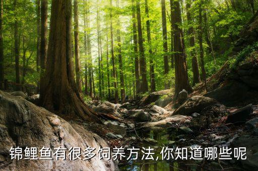 錦鯉自動(dòng)化設(shè)備圖片