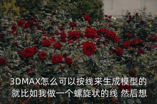 生成模型，3DMAX怎么可以按線來生成模型的 就比如我做一個螺旋狀的線 然后想
