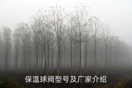 塑料球閥自動化設(shè)備價格,自動化設(shè)備的價格與電動球閥的區(qū)別