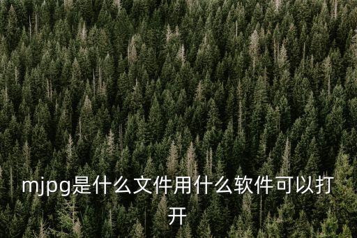 mjpg是什么文件用什么軟件可以打開