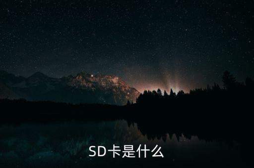 sd卡，SD卡是什么