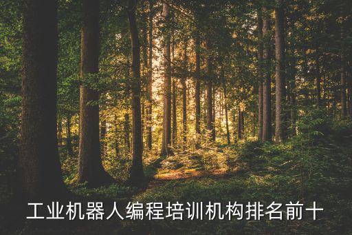 工業(yè)機(jī)器人編程培訓(xùn)機(jī)構(gòu)排名前十