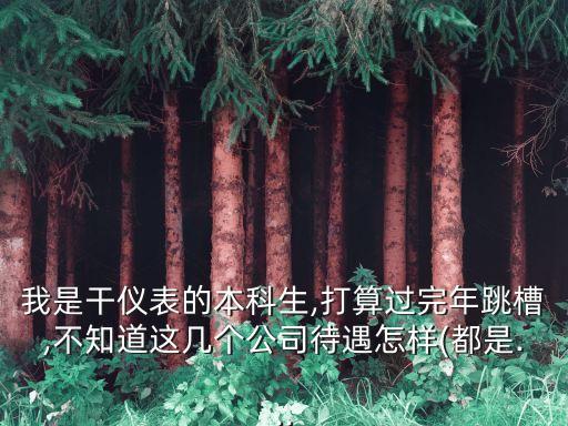 我是干儀表的本科生,打算過完年跳槽,不知道這幾個公司待遇怎樣(都是...