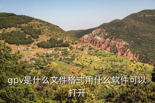 gpv，手機(jī)中GPV是指手機(jī)的什么什么樣的好