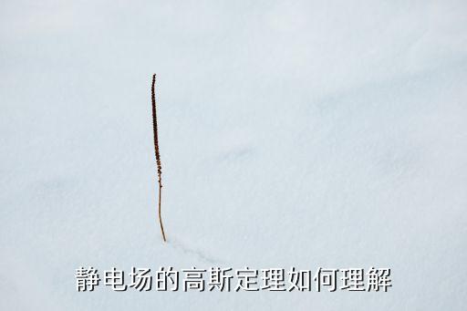 靜電場的高斯定理如何理解