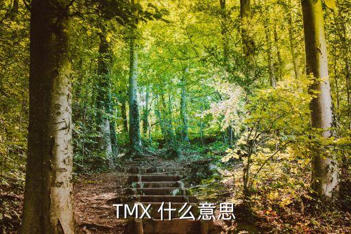 TMX 什么意思
