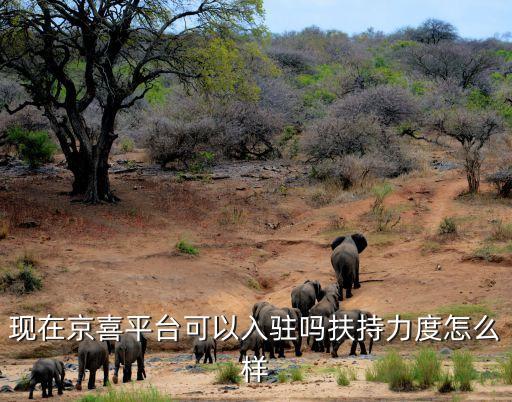 現在京喜平臺可以入駐嗎扶持力度怎么樣