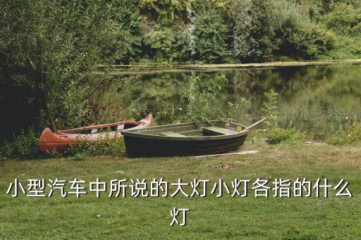 小型汽車中所說的大燈小燈各指的什么燈
