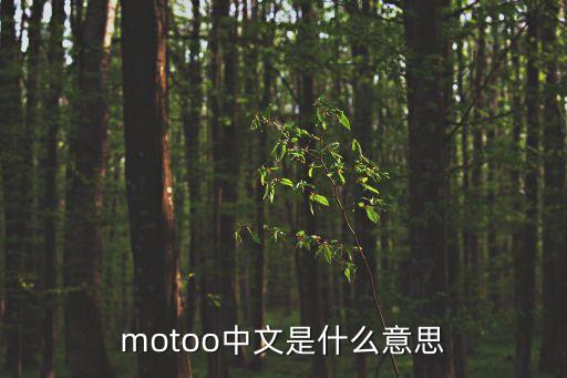 motoo，MOTOO是什么意思