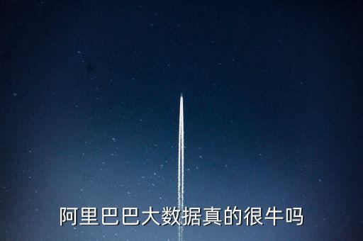 阿里巴巴大數(shù)據(jù)真的很牛嗎