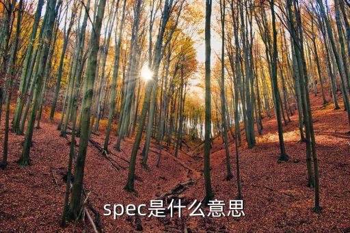 spec是什么意思