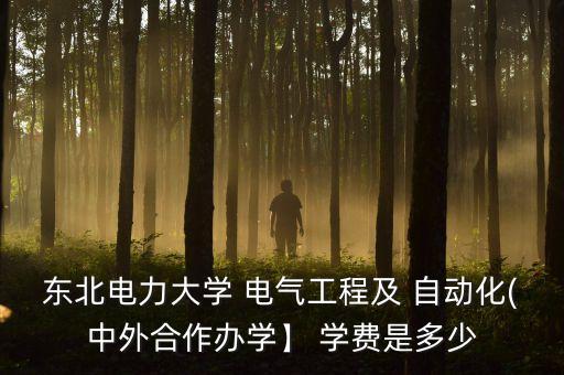東北電力大學(xué) 電氣工程及 自動化(中外合作辦學(xué)】 學(xué)費是多少