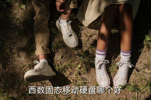 西數(shù)固態(tài)移動(dòng)硬盤(pán)哪個(gè)好