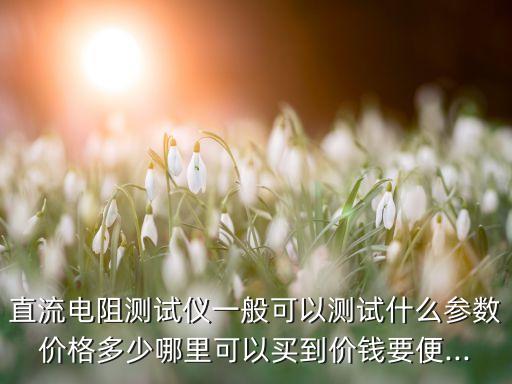 直流電阻測(cè)試儀一般可以測(cè)試什么參數(shù)價(jià)格多少哪里可以買到價(jià)錢要便...