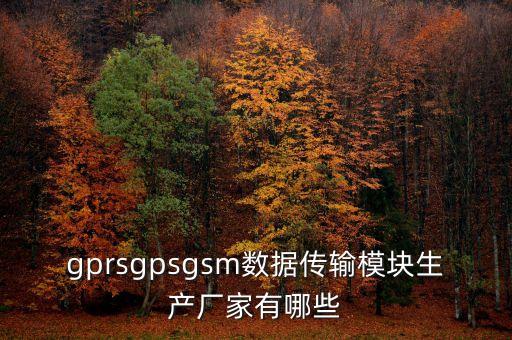 gprsgpsgsm數(shù)據(jù)傳輸模塊生產(chǎn)廠家有哪些