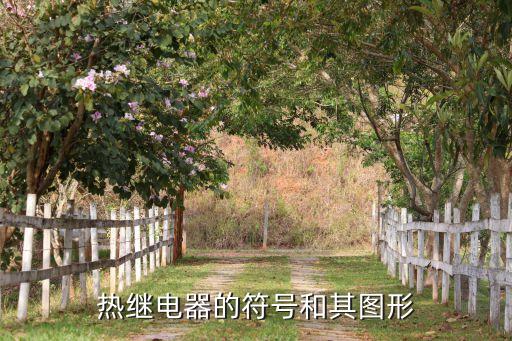 熱繼電器的符號和其圖形