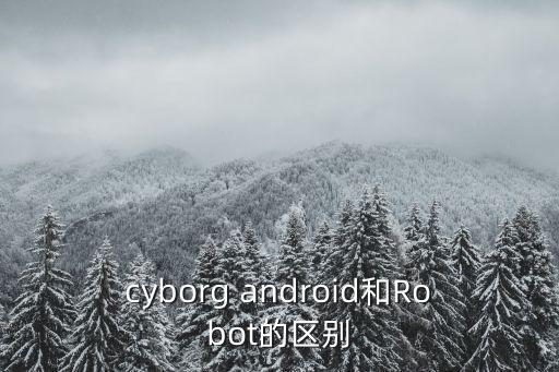 人機(jī)合體，我是一個80后小時候看過的一部機(jī)甲動漫是人機(jī)合體的使用的是雙