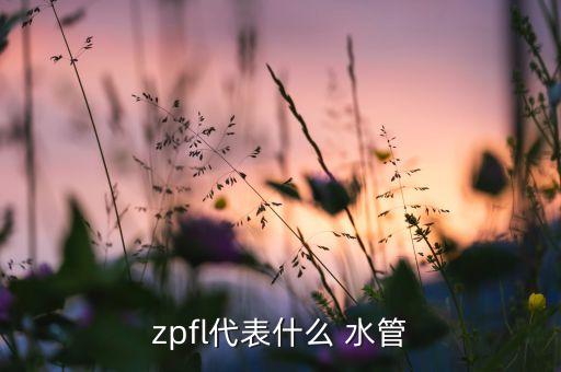 zpfl代表什么 水管