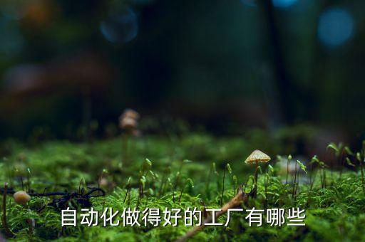 自動(dòng)化做得好的工廠有哪些