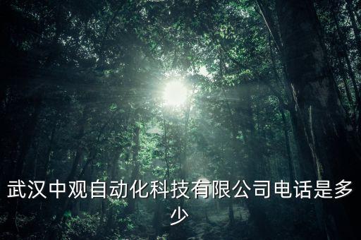武漢大的自動化公司,武漢國業(yè)自動化科技有限公司怎么樣?